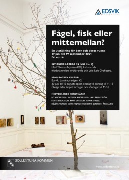 Fågel Fisk eller mittemellan  