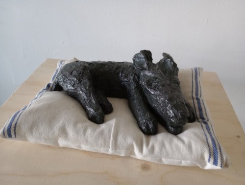 Siesta