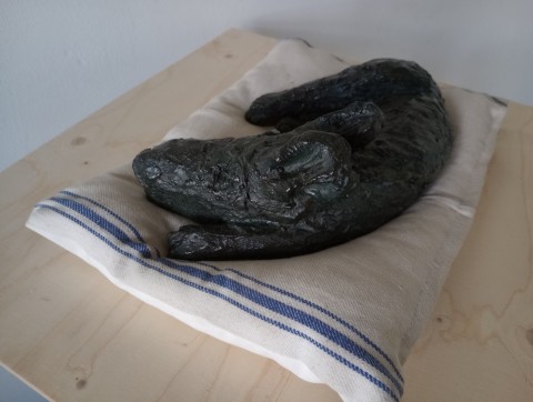 Siesta