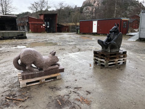 Avvaktan - Förundran