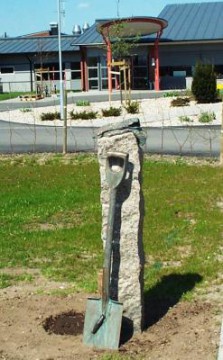 Tillbakablick